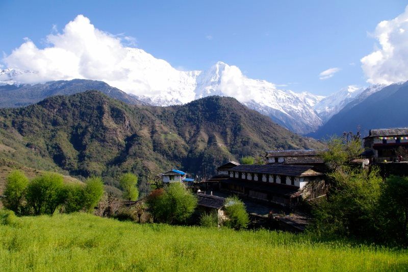 greenery in annapurna region