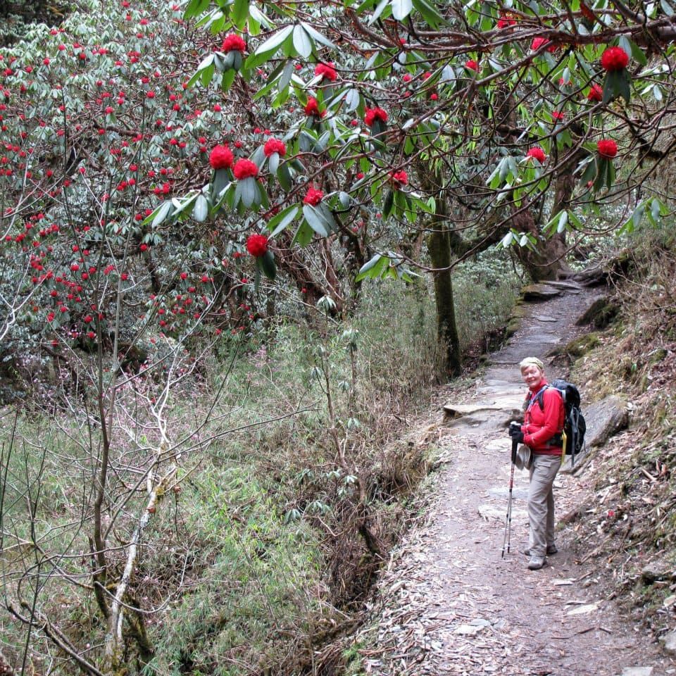 walking during abc trek